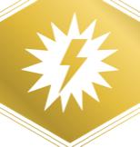 Dinamo rozeti